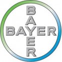 Bayer